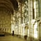 Musée d'archéologie nationale et Domaine national de Saint-Germain-en-Laye