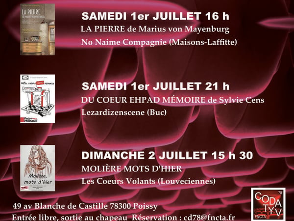 Les Cartes Blanches de Castille