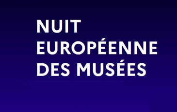 Nuit des musées à Versailles