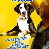 Thierry Marquet dans On se foutrait pas un peu de notre gueule ?