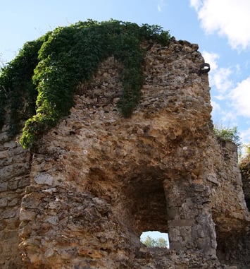 Visite guidée de Châteaufort cité médiévale