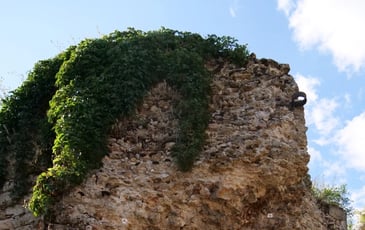 Visite guidée de Châteaufort cité médiévale