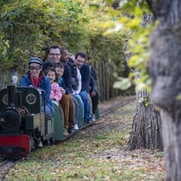 Balade en train de jardin à vapeur
