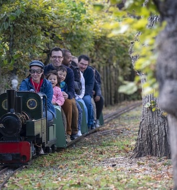 Balade en train de jardin à vapeur