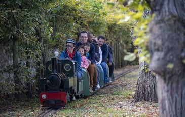 Balade en train de jardin à vapeur