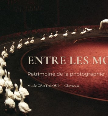 Entre les Mondes – Patrimoine de la photographie et immersion artistique