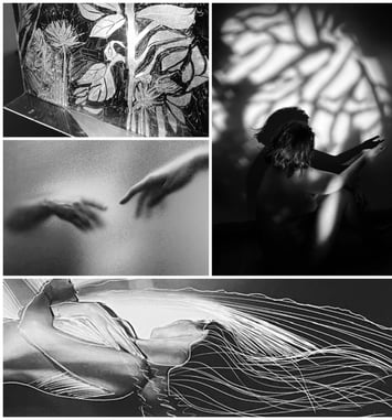 Exposition de photographies de lumière