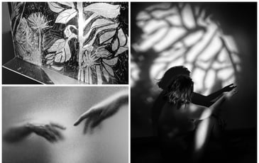 Exposition de photographies de lumière