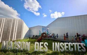 Portes ouvertes de la Maison des insectes