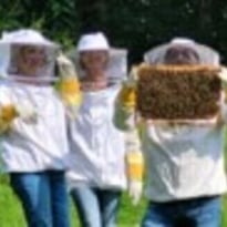 Atelier ruches sur la vie des abeilles