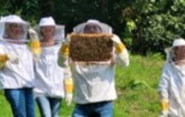 Atelier ruches sur la vie des abeilles