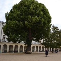 Visite guidée de la maison d'éducation de la Légion d'honneur des Loges