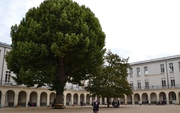 Visite guidée de la maison d'éducation de la Légion d'honneur des Loges