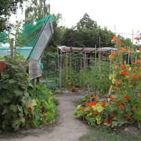 Portes ouvertes des jardins partagés