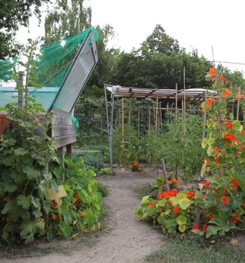 Portes ouvertes des jardins partagés