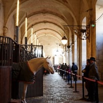 Visite libre des écuries royales