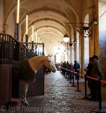 Visite libre des écuries royales