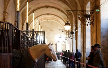Visite libre des écuries royales