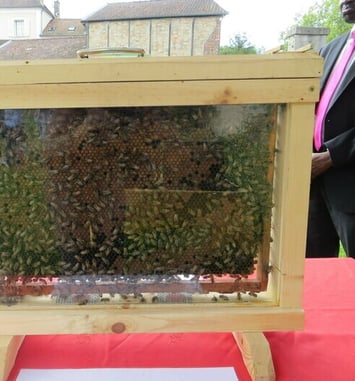 Exposition découverte de l'apiculture