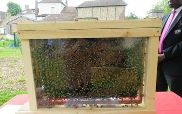 Exposition découverte de l'apiculture
