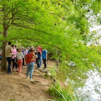 Visite de l'Arboretum des Ibis