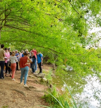 Visite de l'Arboretum des Ibis