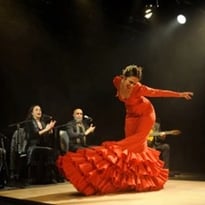 Tierra Viva, Compagnie Flamenco Alborea