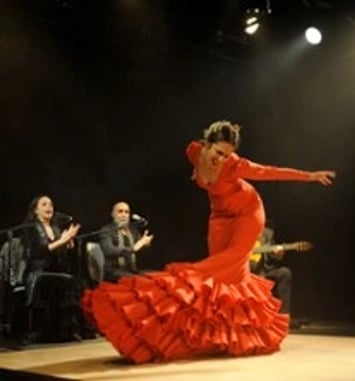 Tierra Viva, Compagnie Flamenco Alborea