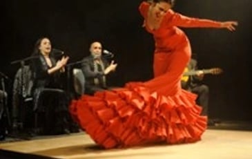 Tierra Viva, Compagnie Flamenco Alborea