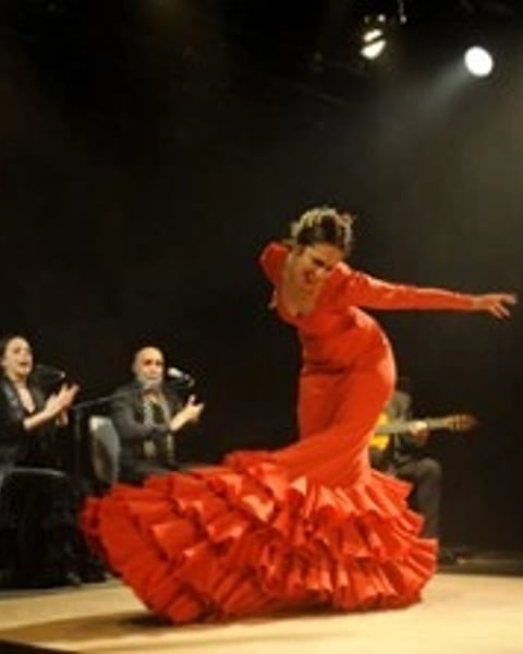 Tierra Viva, Compagnie Flamenco Alborea