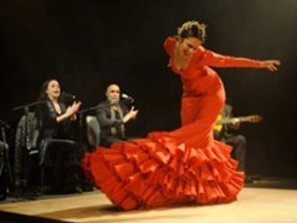 Tierra Viva, Compagnie Flamenco Alborea