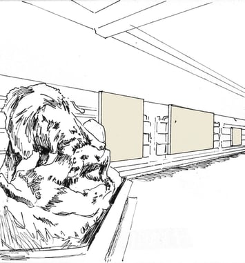 Exposition "Paradisi in Sole Paradisus Terrestris" à l'Orangerie