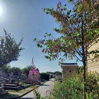 Visite guidée du cimetière ancien