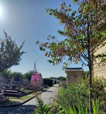 Visite guidée du cimetière ancien