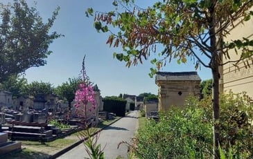 Visite guidée du cimetière ancien
