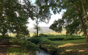 À la découverte des moulins de la Mérantaise