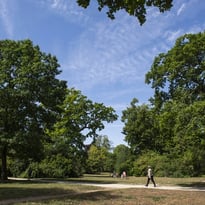 Visite guidée : Promenons-nous aux jardins