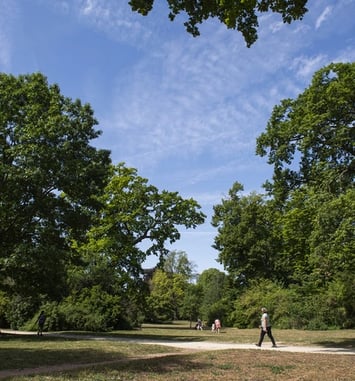 Visite guidée : Promenons-nous aux jardins