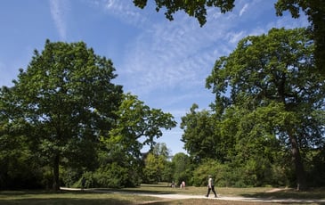 Visite guidée : Promenons-nous aux jardins