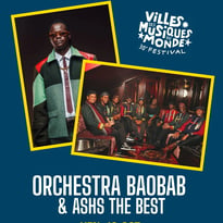 Orchestra Baobab