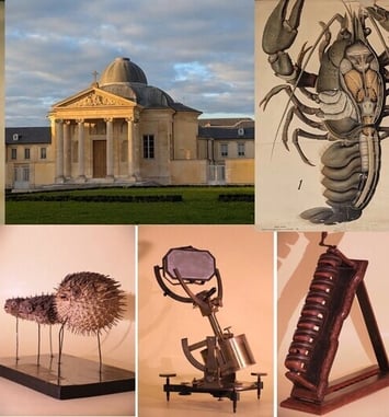Visite du musée historique du lycée Hoche