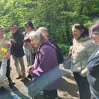 Balade gourmande autour des plantes sauvages