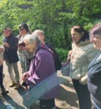 Balade gourmande autour des plantes sauvages