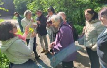 Balade gourmande autour des plantes sauvages