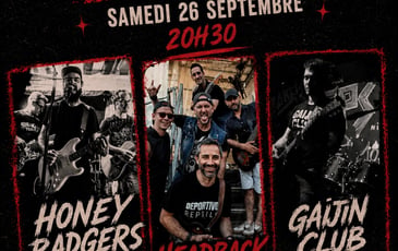 Concert rock au Meeple Bar