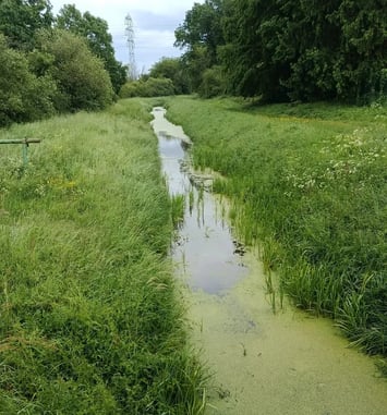 Balade au fil de l'eau à Coignières