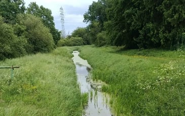Balade au fil de l'eau à Coignières