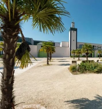 Découverte de la Grande Mosquée