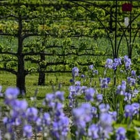 Journées européennes du Patrimoine 2026 et Journées mondiales de l'art de l'espalier