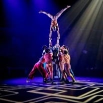 Zip Zap Circus : Moya